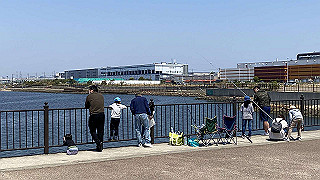 20200429_032843610_ios_thumb.jpg