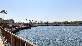 20200429_043403011_ios_thumb.jpg