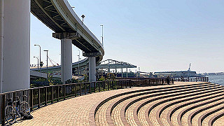 20200429_044642419_ios_thumb.jpg