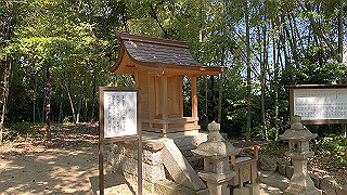20200429_055349340_ios_thumb.jpg