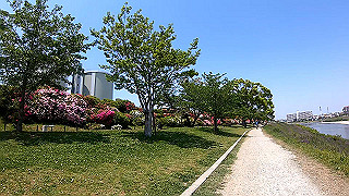 gx010419.mp4_snapshot_00.22_thumb.jpg