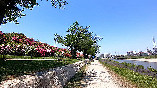 gx010419.mp4_snapshot_00.38_thumb.jpg