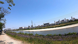 gx010419.mp4_snapshot_00.41_thumb.jpg