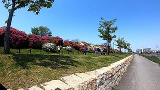 gx010419.mp4_snapshot_01.01_thumb.jpg