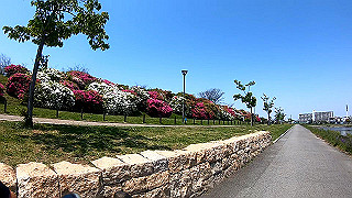 gx010419.mp4_snapshot_01.06_thumb.jpg