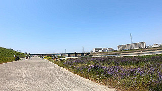 gx010420.mp4_snapshot_02.01_thumb.jpg