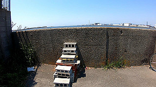 gx010422.mp4_snapshot_00.00_thumb.jpg