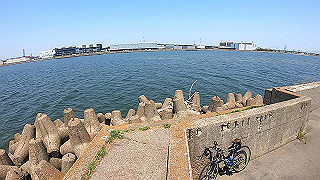 gx010422.mp4_snapshot_00.25_thumb.jpg