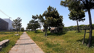 gx010425.mp4_snapshot_00.17_thumb.jpg