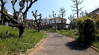 gx010436.mp4_snapshot_01.25_thumb.jpg