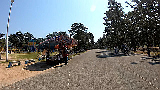 gx010441.mp4_snapshot_01.34_thumb.jpg