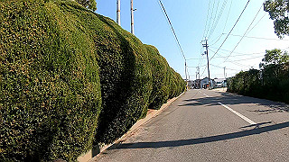 gx010447.mp4_snapshot_01.57_thumb.jpg