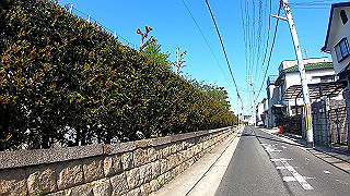 gx010447.mp4_snapshot_04.12_thumb.jpg