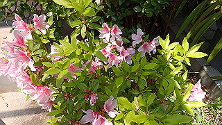 p4290290_thumb.jpg