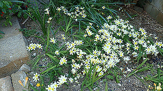 p4290291_thumb.jpg