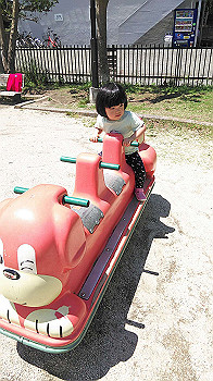 20200507_023134000_ios_thumb.jpg