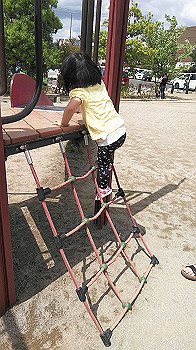 20200524_041837000_ios_thumb.jpg