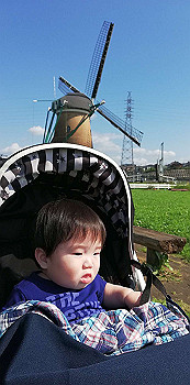 20200719_060754000_ios_thumb.jpg