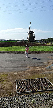 20200719_063703000_ios_thumb.jpg