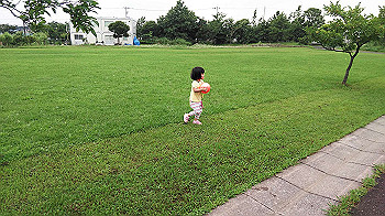20200724_050324000_ios_thumb.jpg