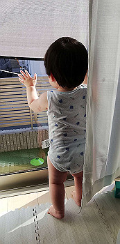 20200815_071215000_ios_thumb.jpg