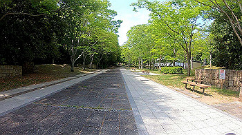 gx010449.mp4_snapshot_00.00_thumb.jpg