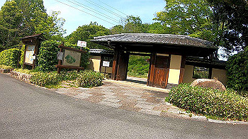 gx010451.mp4_snapshot_00.00_thumb.jpg