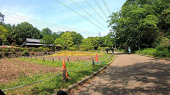 gx010451.mp4_snapshot_00.33_thumb.jpg
