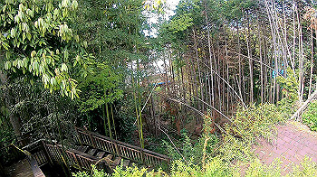 gx010459.mp4_snapshot_00.14_thumb.jpg