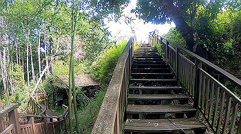 gx010459.mp4_snapshot_00.37_thumb.jpg
