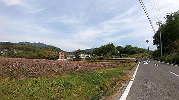 gx010460.mp4_snapshot_01.20_thumb.jpg