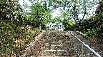 gx010461.mp4_snapshot_00.12_thumb.jpg
