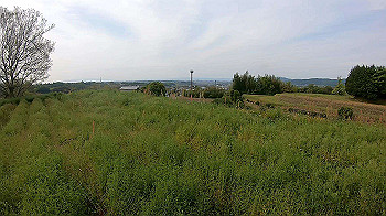 gx010463.mp4_snapshot_00.09_thumb.jpg