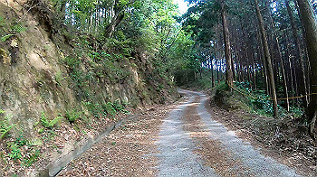 gx010465.mp4_snapshot_00.17_thumb.jpg
