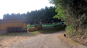 gx010466.mp4_snapshot_00.00_thumb.jpg