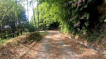 gx010466.mp4_snapshot_00.39_thumb.jpg