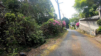 gx010466.mp4_snapshot_01.53_thumb.jpg
