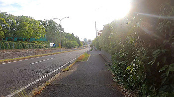 gx010479.mp4_snapshot_01.27_thumb.jpg