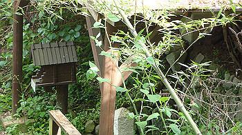 p5050003_thumb.jpg