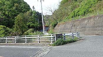 p5050006_thumb.jpg