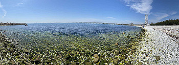 20200514_055438954_ios_thumb.jpg