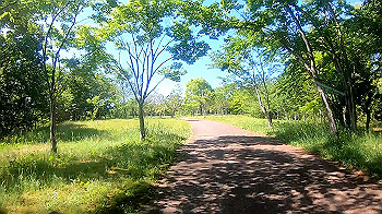 gx010480_x264.mp4_snapshot_01.45_thumb.jpg