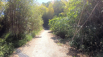 gx010492_x264.mp4_snapshot_01.59_thumb.jpg