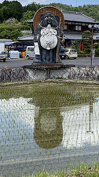 20200524_032045759_ios_thumb.jpg