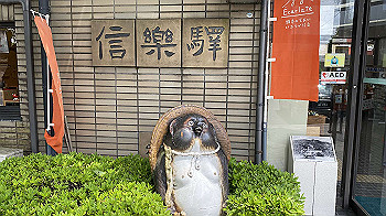 20200524_033428919_ios_thumb.jpg