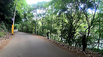 gx010541.mp4_snapshot_00.00_thumb.jpg