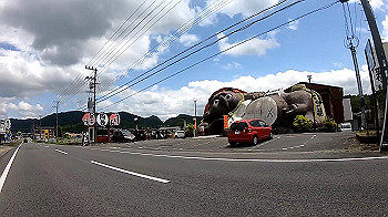gx010581_x264.mp4_snapshot_00.46_thumb.jpg
