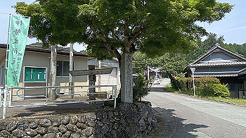 20200605_013637237_ios_thumb.jpg