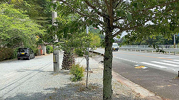 20200605_034149000_ios_x264.mp4_snapshot_00.00_thumb.jpg