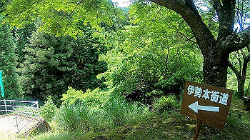 gx010647_x264.mp4_snapshot_00.17_thumb.jpg